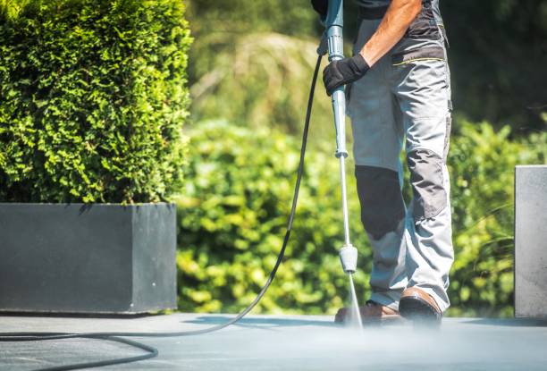 Best Soft Washing  in Newark, OH
